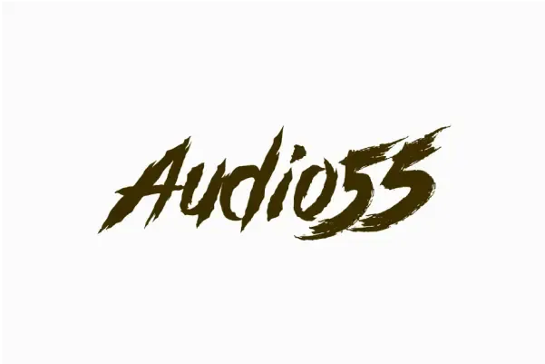 Audio 55